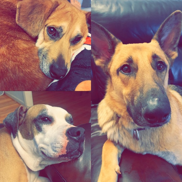 Meet Me - Elle 🖤 - Picture 2 of 14